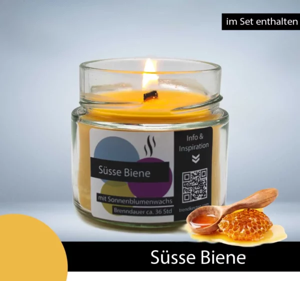 Trendkerzen Kerzenwelt Kerze