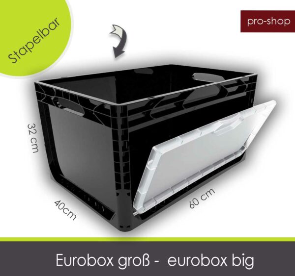 Eurobox Big für WaxSand